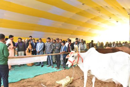 Empowering Dairy Farmers at the Bihar Dairy & Cattle Expo
              Efficiency